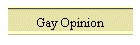 Gay Opinion